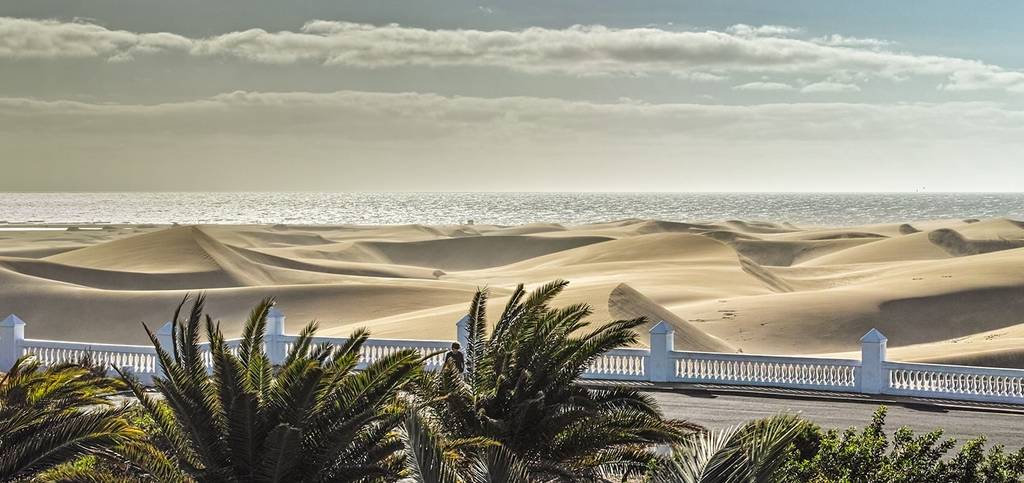 Maspalomas Gay Map Bars Saunas Clubs Cruising