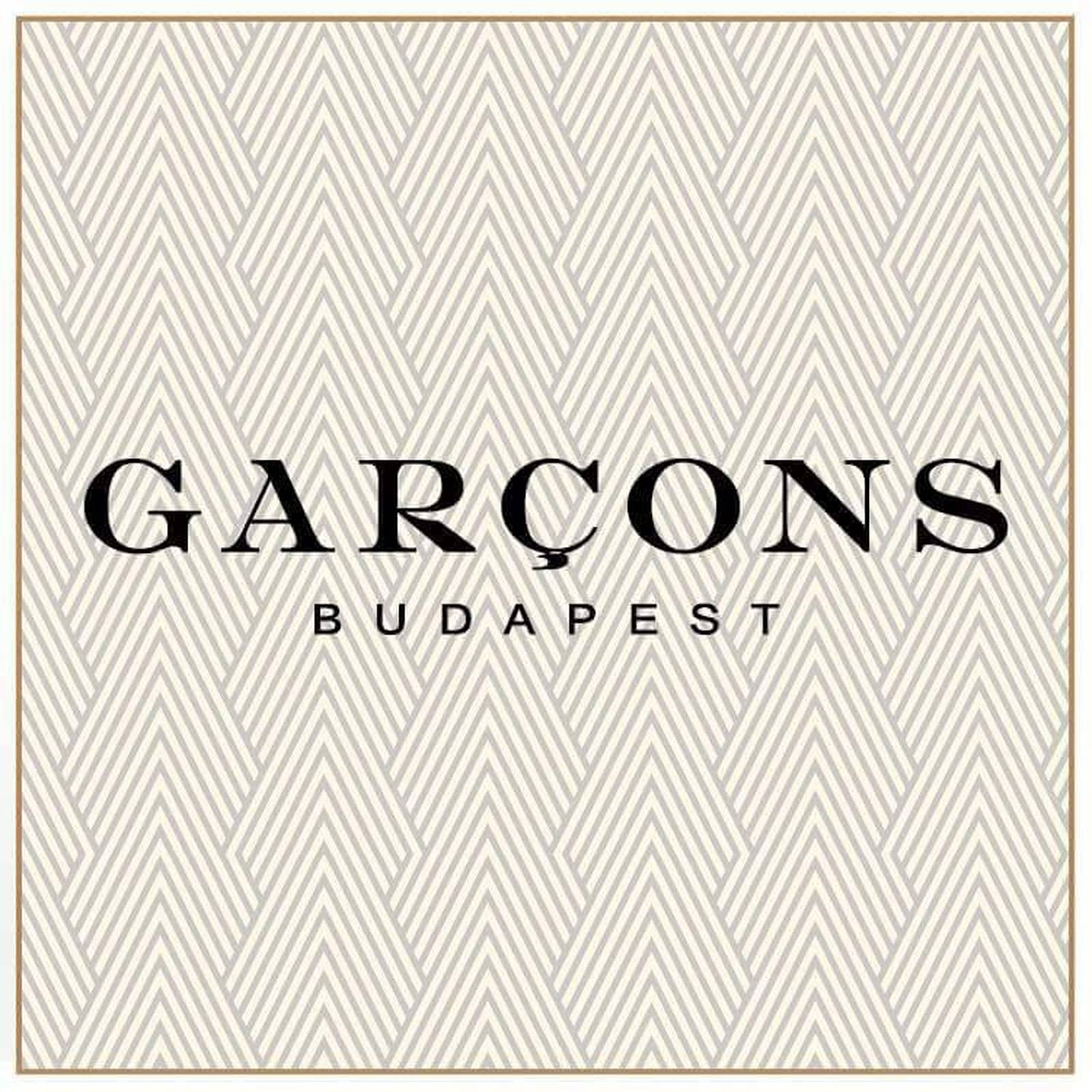 Garçons Budapest Gay Clubs Guidemisterb b