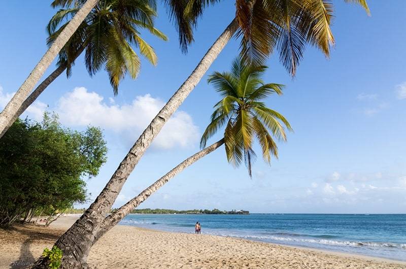 Martinique's most beautiful beaches and where to find them