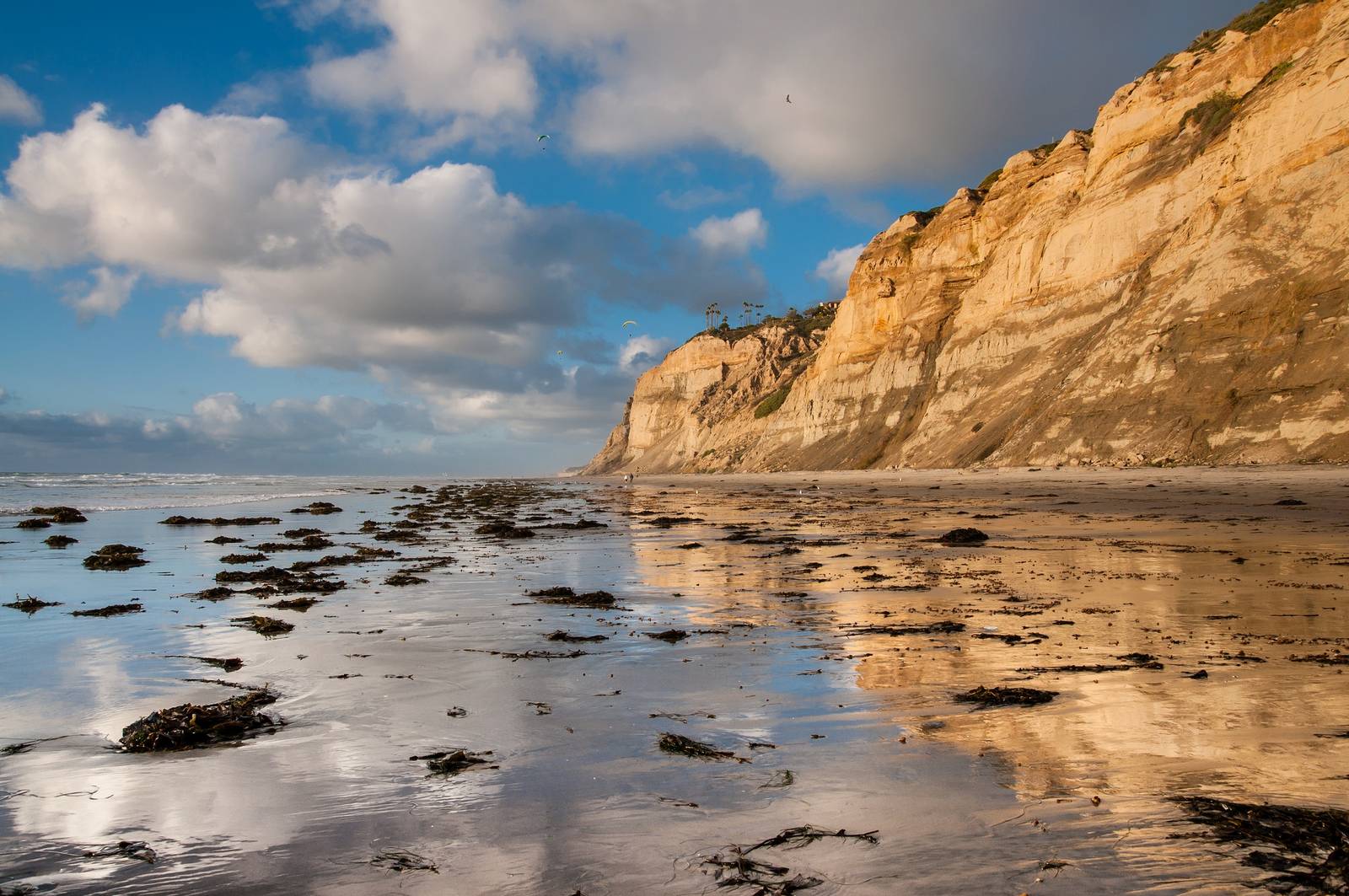 Blacks beach san diego gay