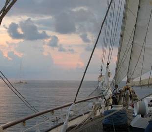 Schwule Kreuzfahrten: Der Charme der Segelschifffahrt