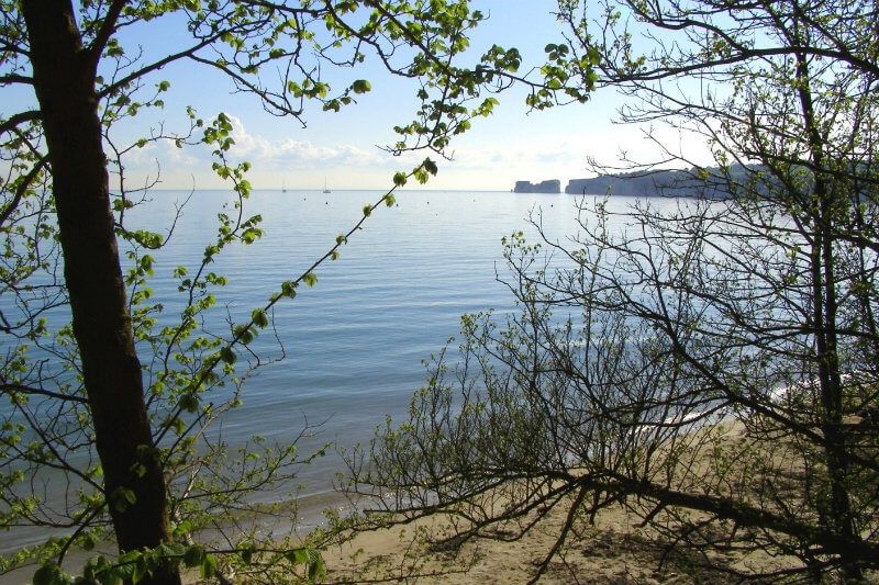Quiet, forested gay nude beach with calm waters and scenic coastal views framed by trees.
