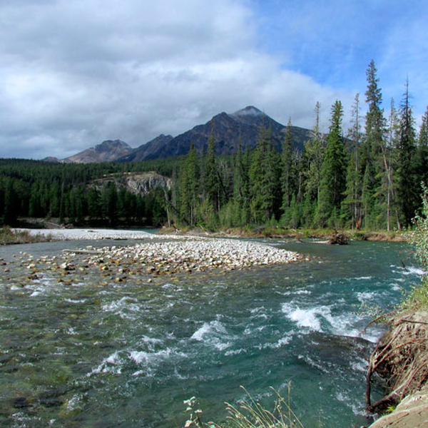 Jasper Raft Tours