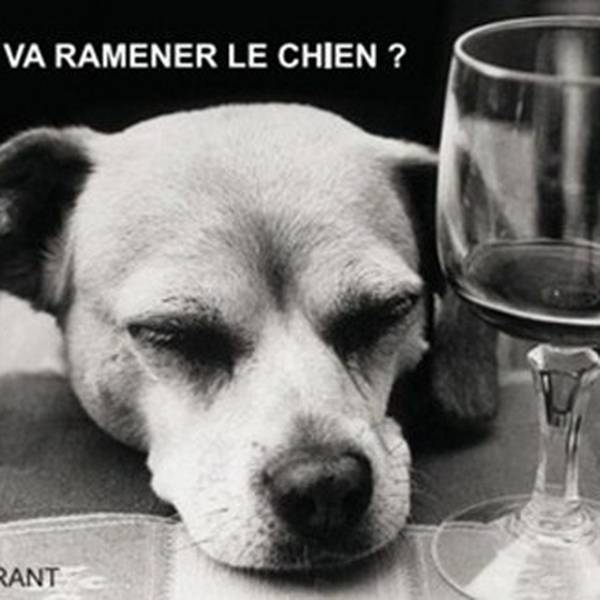 Et qui va ramener le chien ?