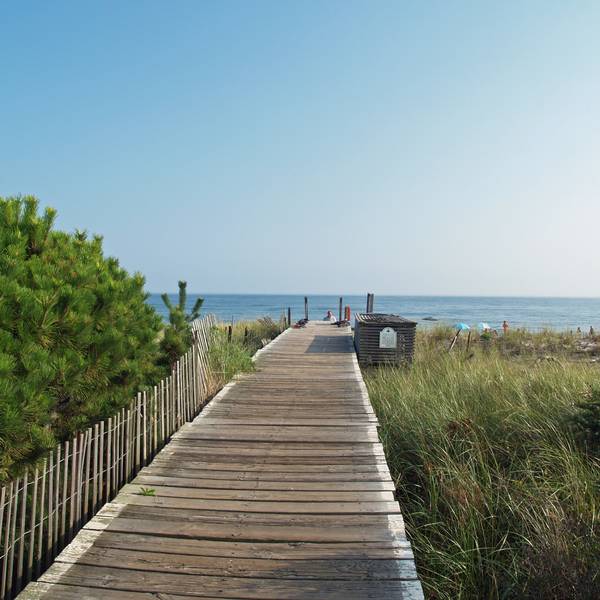 Fire Island