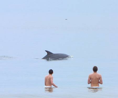 San Diego surfe sur sa gayttitude